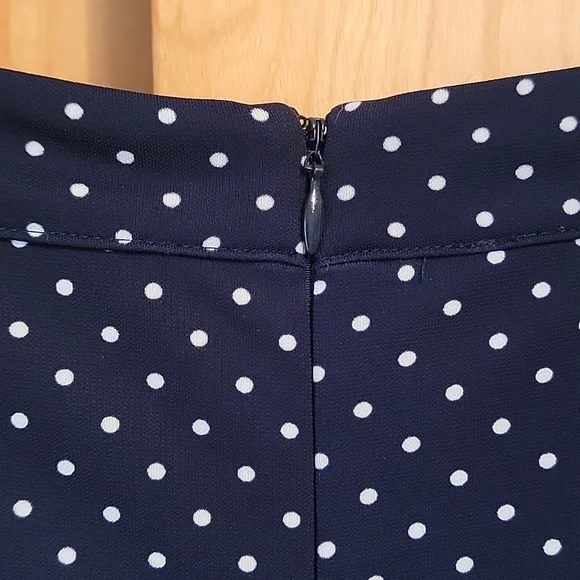 Talbots Blue White Polka Dot Dress - Picture 9 of 12